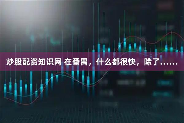 炒股配资知识网 在番禺，什么都很快，除了……